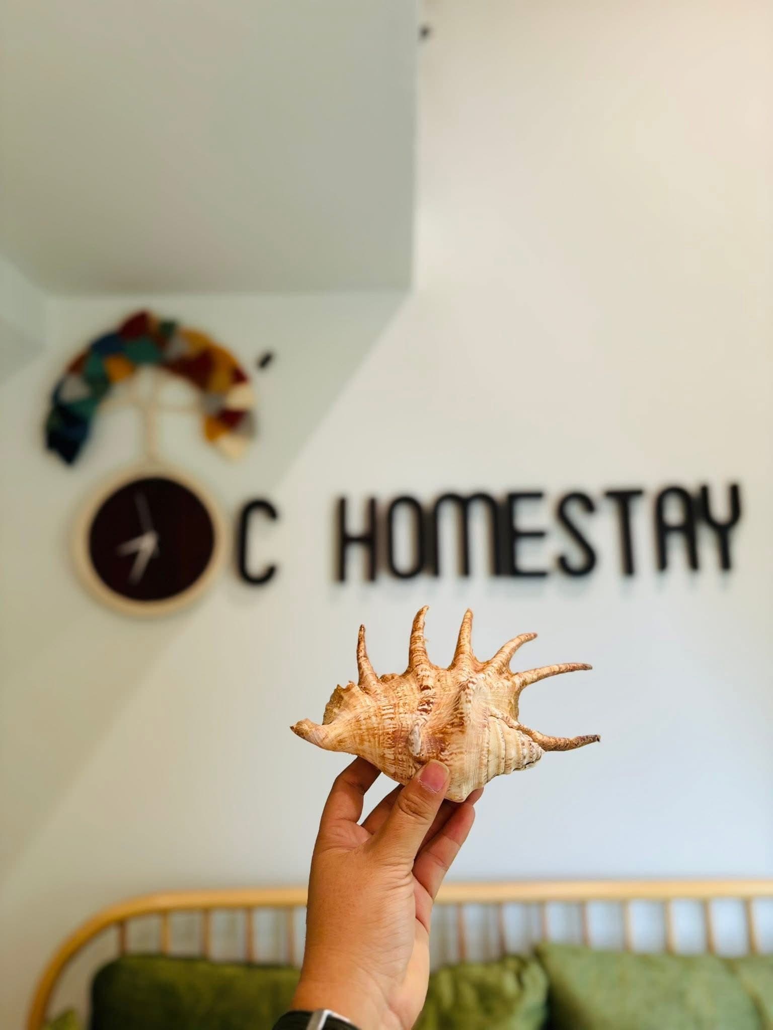 Ốc Homestay Dốc Lết - Rooftop Oasis